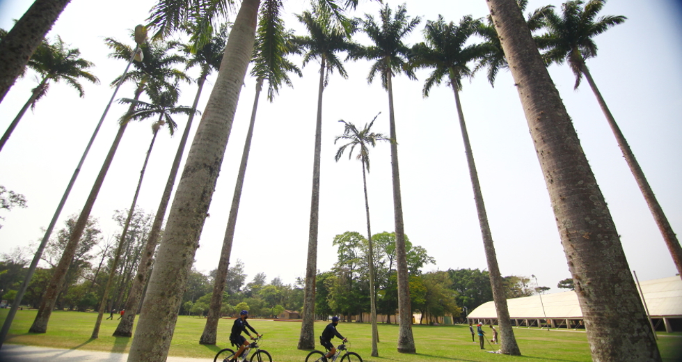 cv__4063_claudio_vieira.jpg