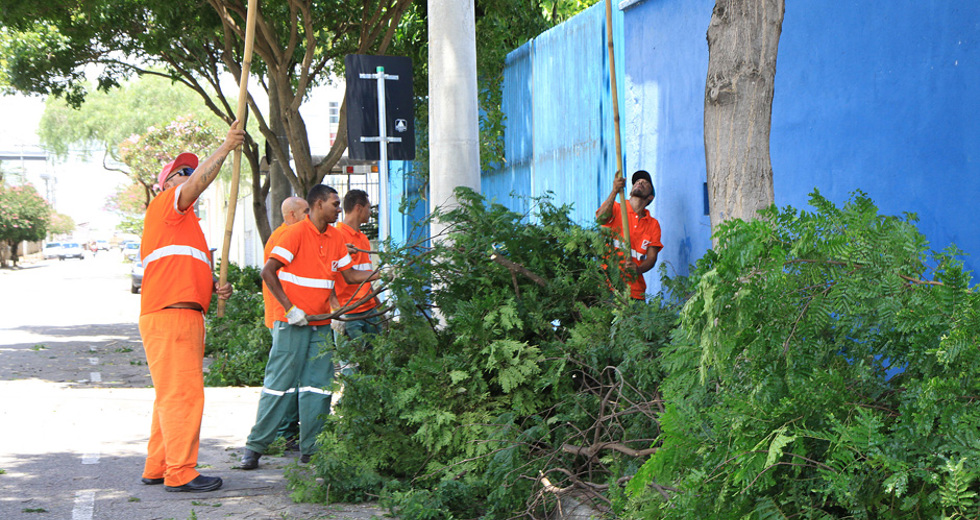 poda_de_arvores-06_beto_freitas.jpg
