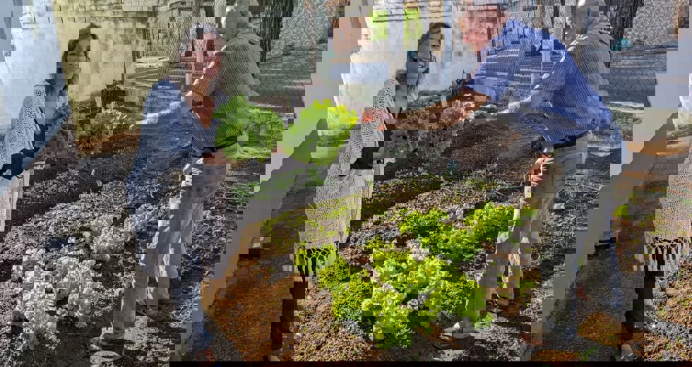 horta-8.jpeg