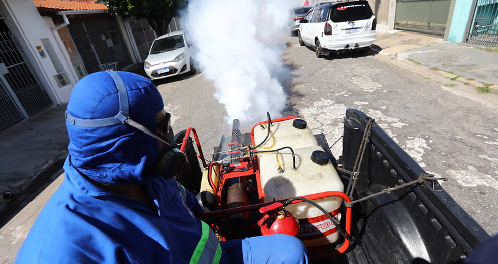 dengue11.jpg