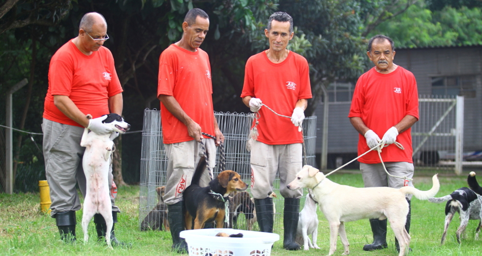 ccz_animais_adoc-a-o-37-claudio_vieira.jpg