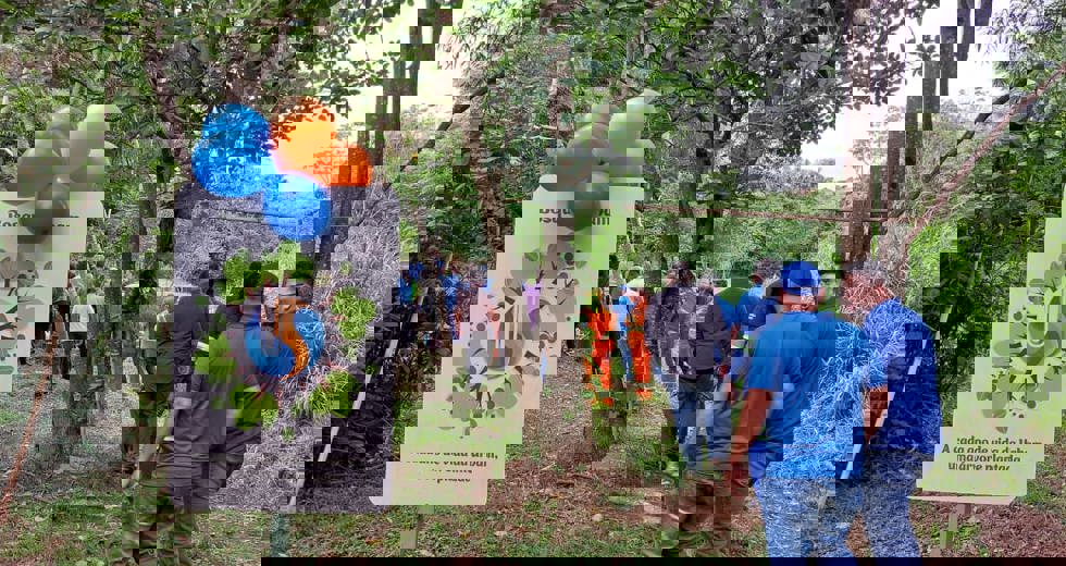 58c43d79-9f76-436f-a8d0-0dc7adc0c1af.jpg