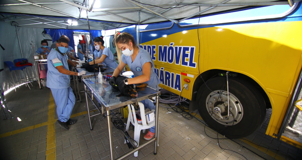 cv__8981_claudio_vieira.jpg
