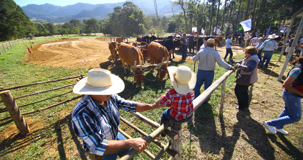 cv__4970-claudio_vieira.jpg
