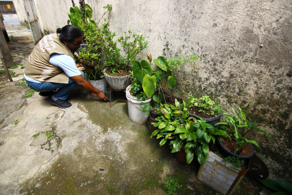 Foto: Divulgação arrastao_contra_dengue-014-claudio_vieira.jpg