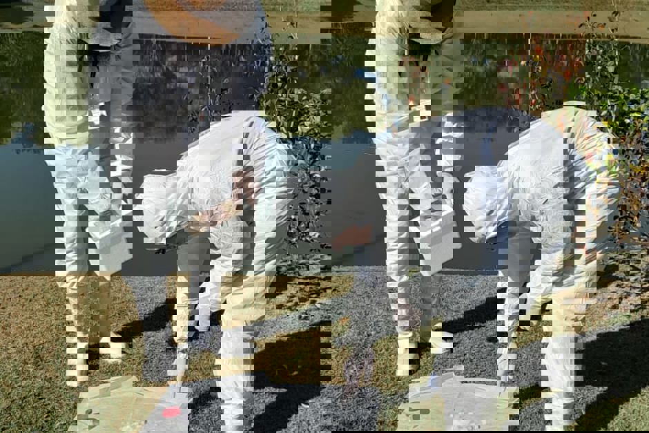 armadilha-carrapato.jpeg