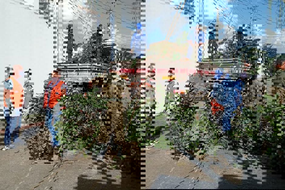 gruposucuarana4.jpeg