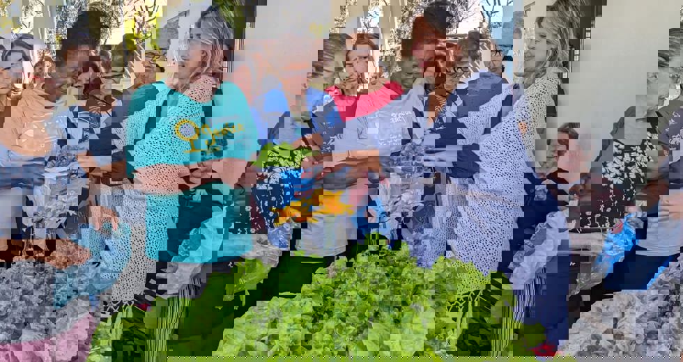 horta-5.jpeg