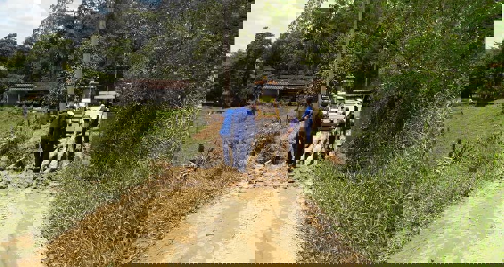 reforcoponte1.jpg
