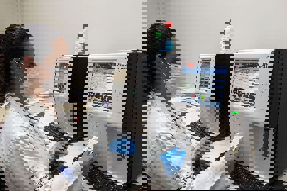 hemograma-1.jpeg