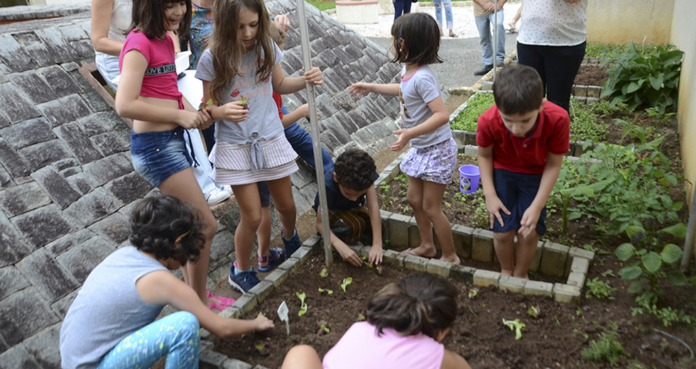 cultivo-de-hortas-e-composteira-12-12-2019-lucas-cabral-22.jpg