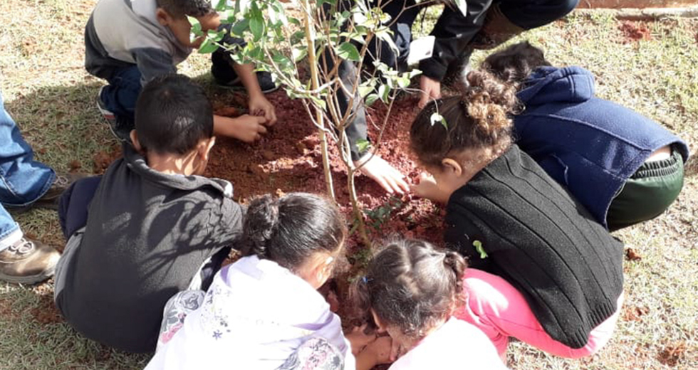 platio-instituto-materno-infantil-pinheirinho-dos-palmares-06-06-2019-pmsjc-09.jpg