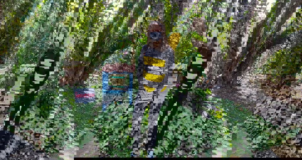 projeto-super-jatai-emefi-dosulina.jpeg