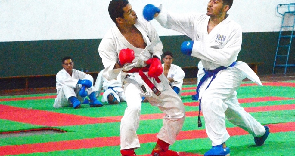 tmf_1204.jpg