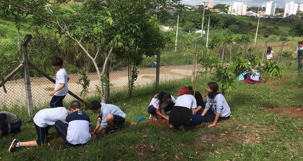 plantio-vista-linda-22-03-2019-priscila-03.jpeg