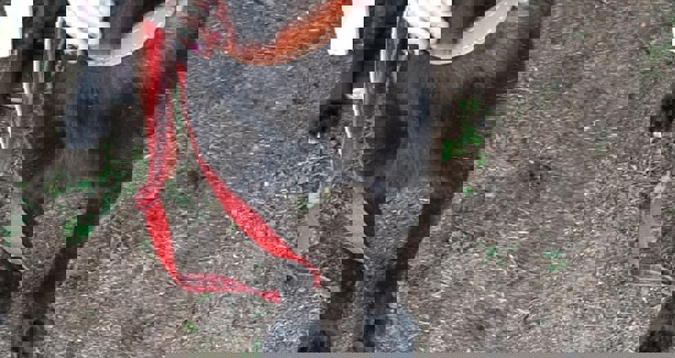 81444060-593a-4992-80e1-aa1e4a31d5a5.jpg