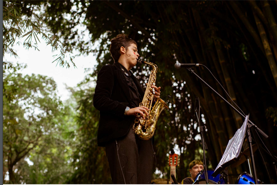 Foto: Divulgação sabados-musicais.png