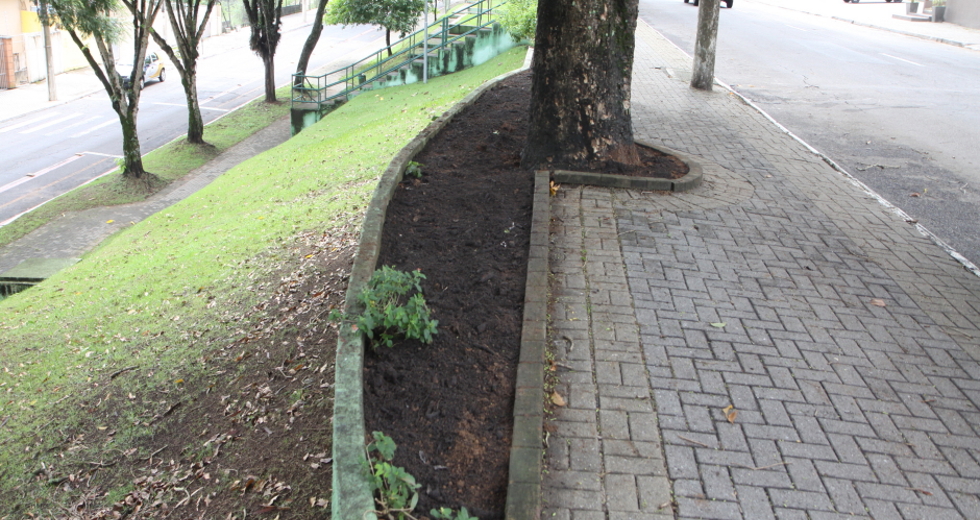 plantio_flores_jardineira_04beto_faria.jpg