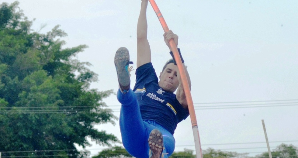 tmf_3377.jpg