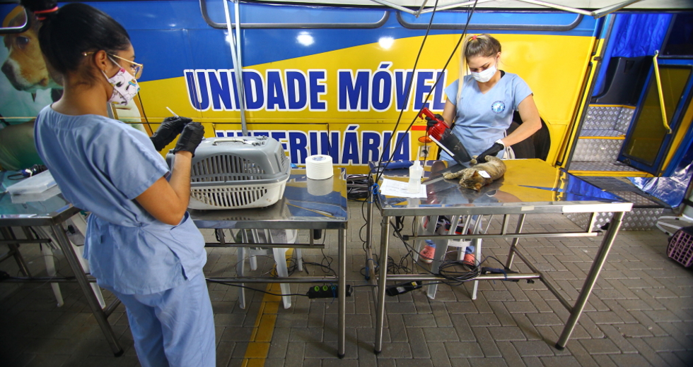 cv__9933_claudio_vieira.jpg
