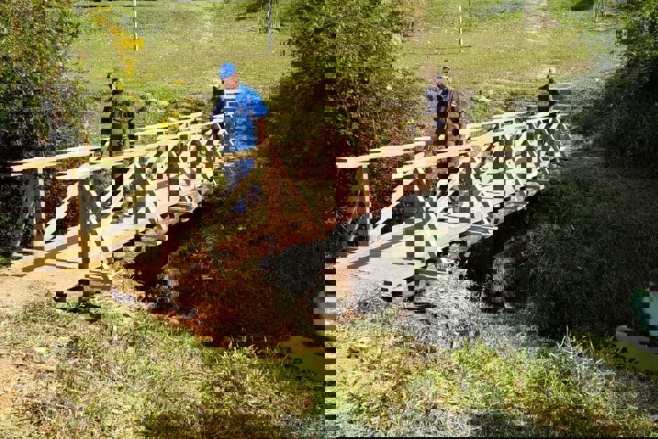 Foto: Divulgação passarela-1.jpeg