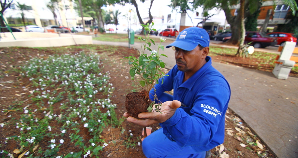 cv__2473-claudio_vieira.jpg