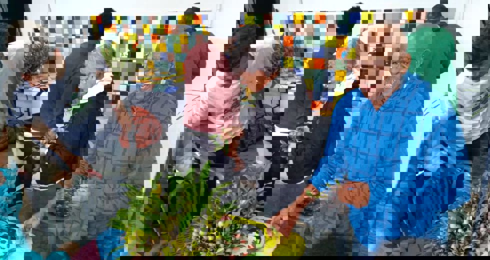 whatsapp-image-2018-06-08-at-124146-1.jpeg