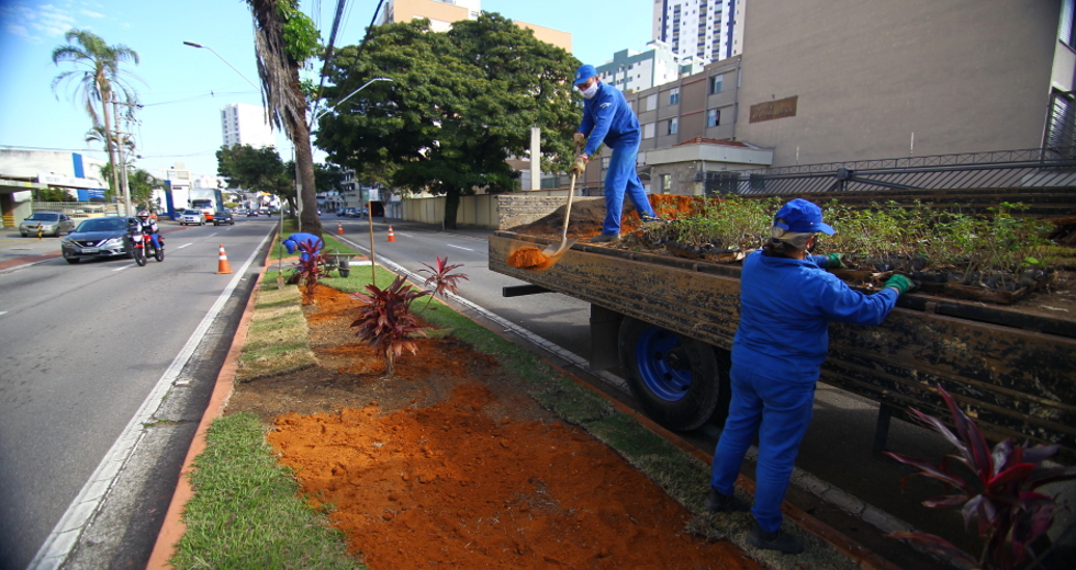 cv__2867_claudio_vieira.jpg