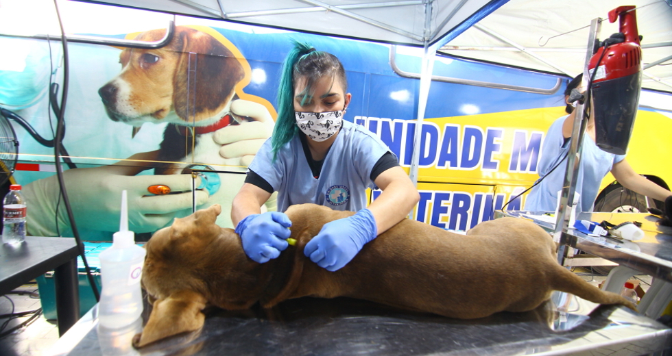 cv__9084_claudio_vieira.jpg