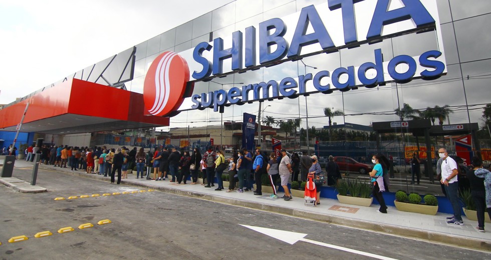 shibata5.jpg