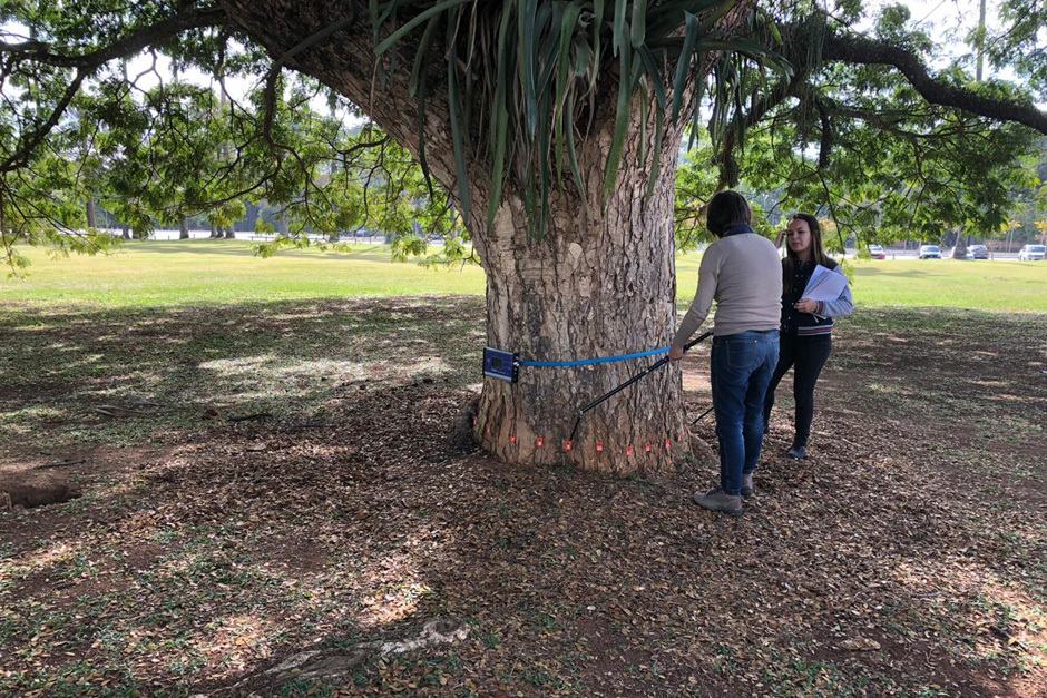 Foto: Divulgação a7a01a36-1133-4802-8e6f-99e755efa2ea.jpg