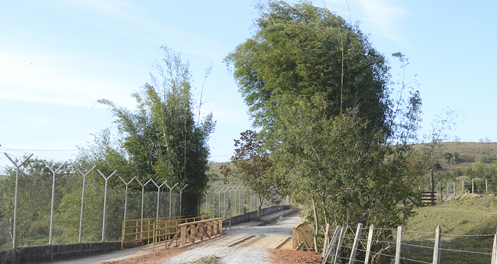 pontilhao-bairro-bom-retiro-27-08-2019-lucas-cabral-12.jpg
