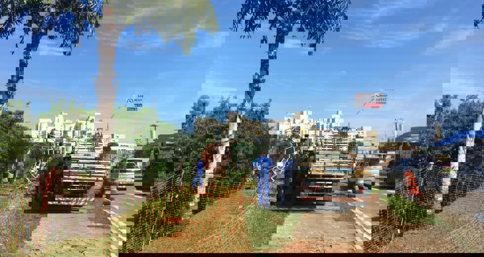 tapume.jpeg
