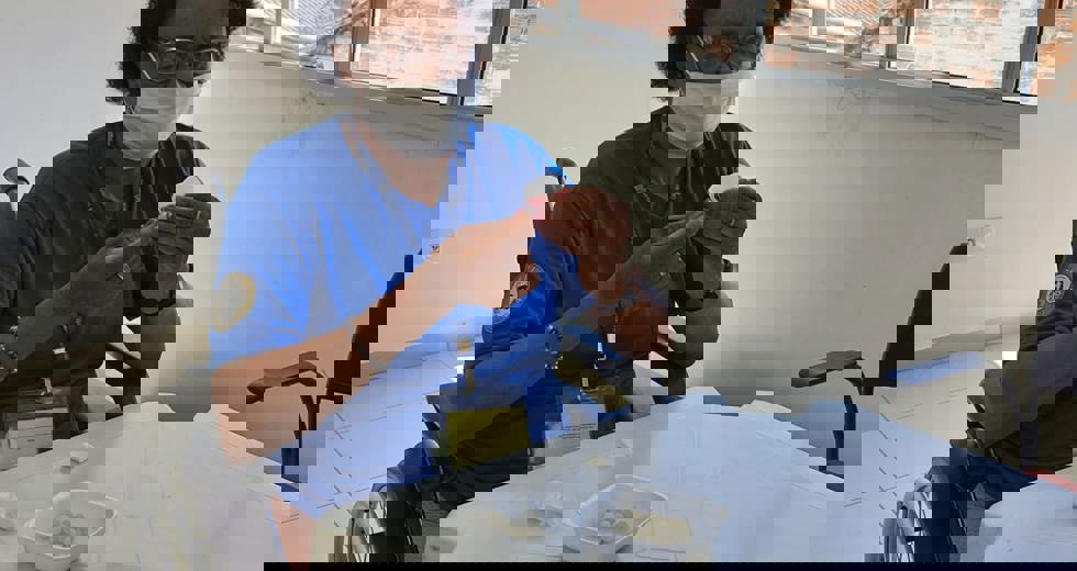 janeiro12.jpeg