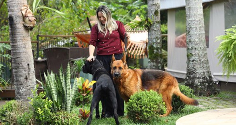 40ª fase do Meu Pet Feliz
