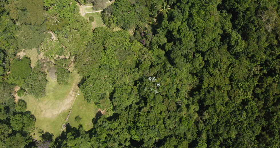dji_0883_claudio_vieira.jpg