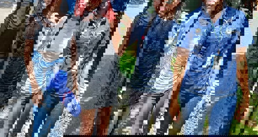 cda-3.jpeg