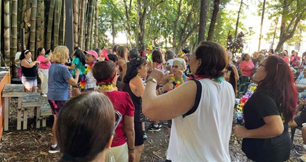 Grito de Carnaval dos frequentadores das Casas do Idoso no Parque Vicentina Aranha