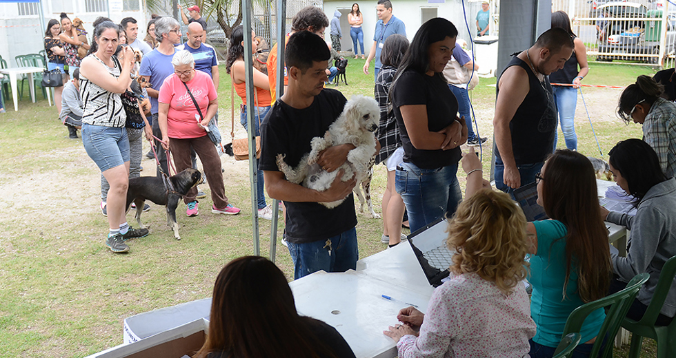 castracoes-quinta-fase-meu-pet-feliz-13-09-2019-lucas-cabral-35.jpg