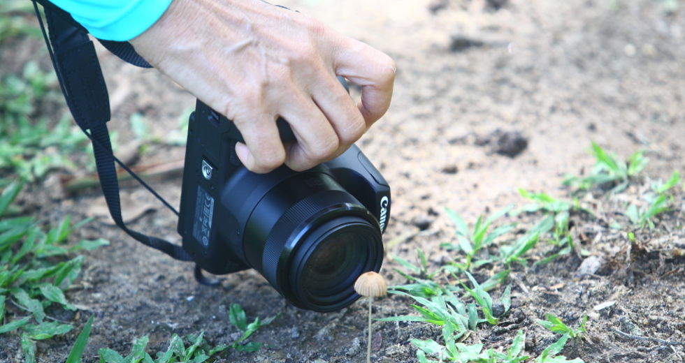 cv__4448_claudio_vieira.jpg