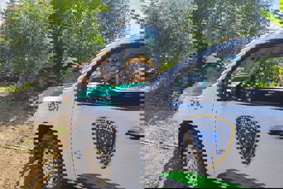 trator-1.jpeg