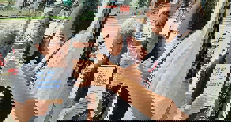 arboviroses8.jpeg
