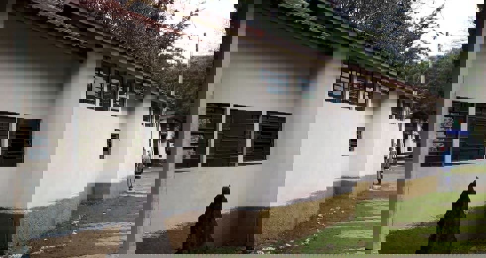 nupdecsfx3.jpeg