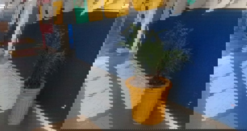 fundhasleste2.jpeg