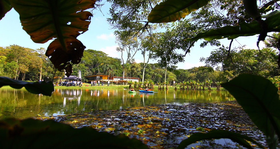 cv__7864-claudio_vieira.jpg