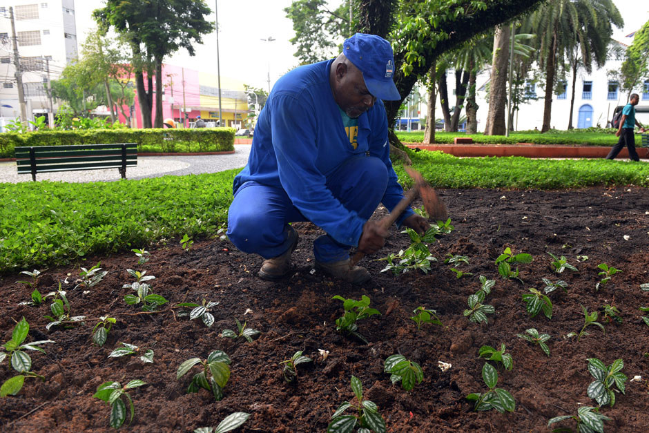 Foto: Divulgação img_6345.jpg