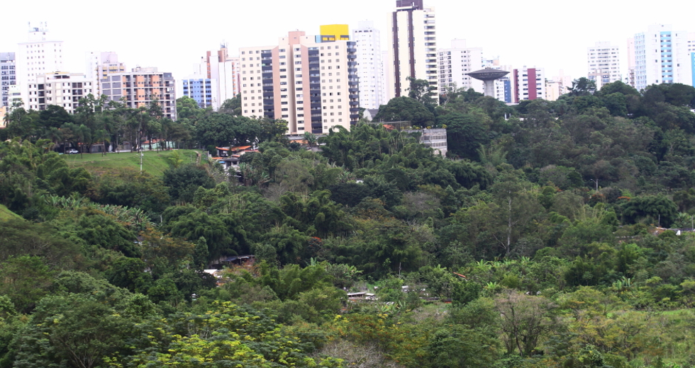 cv__9034_claudio_vieira.jpg