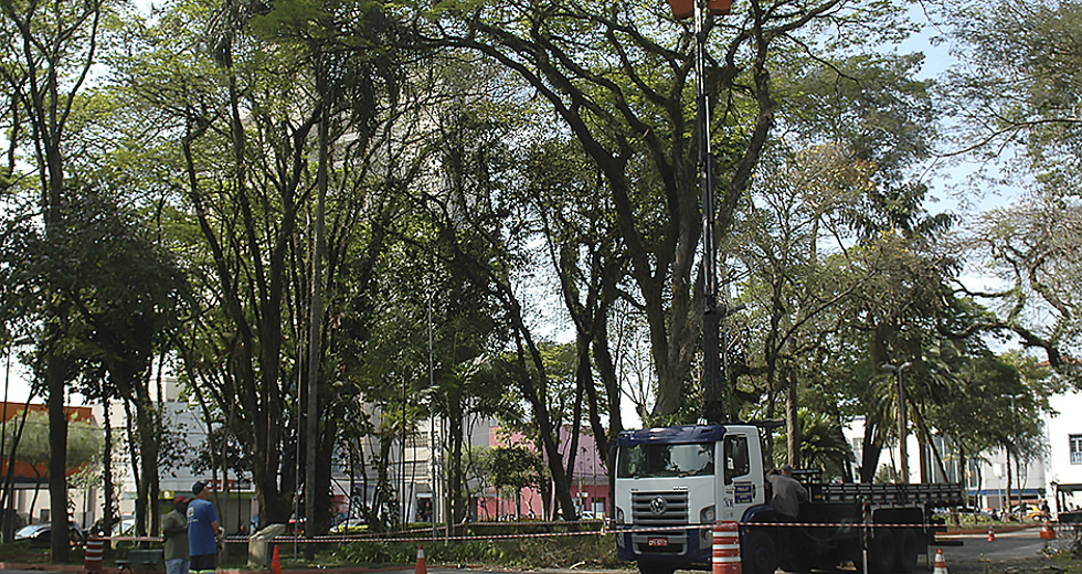 poda-arvores-praca-afonco-pena-24-09-2019-lucas-cabral-12.jpg