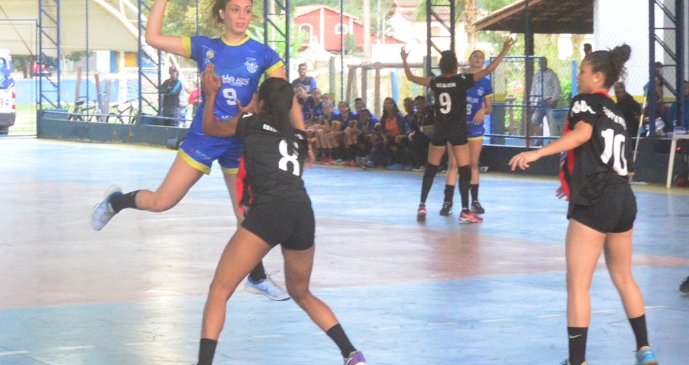 tmf_3962.jpg