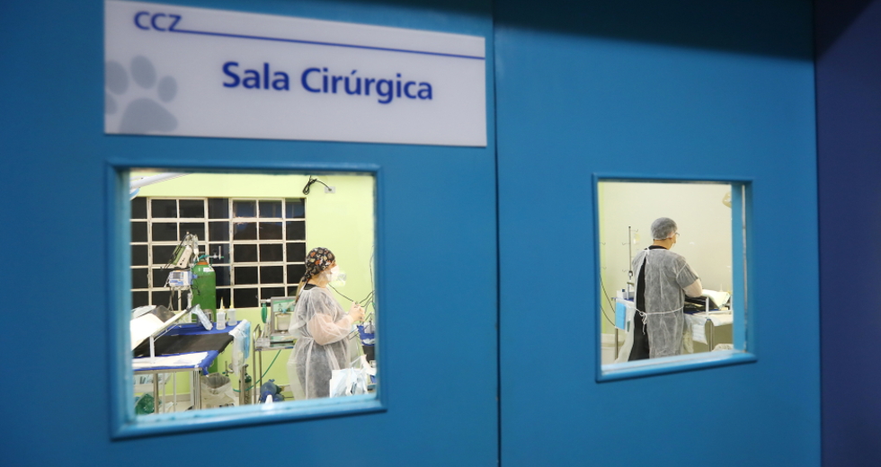 img_9258_claudio_vieira.jpg